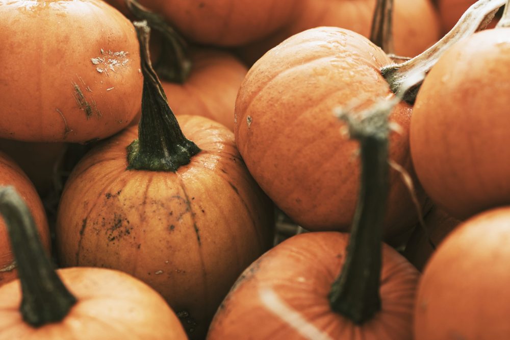 Gallery Thumb Gallery Thumb