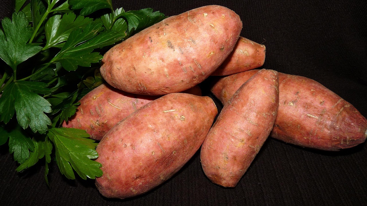 vegetable-3559112_1280