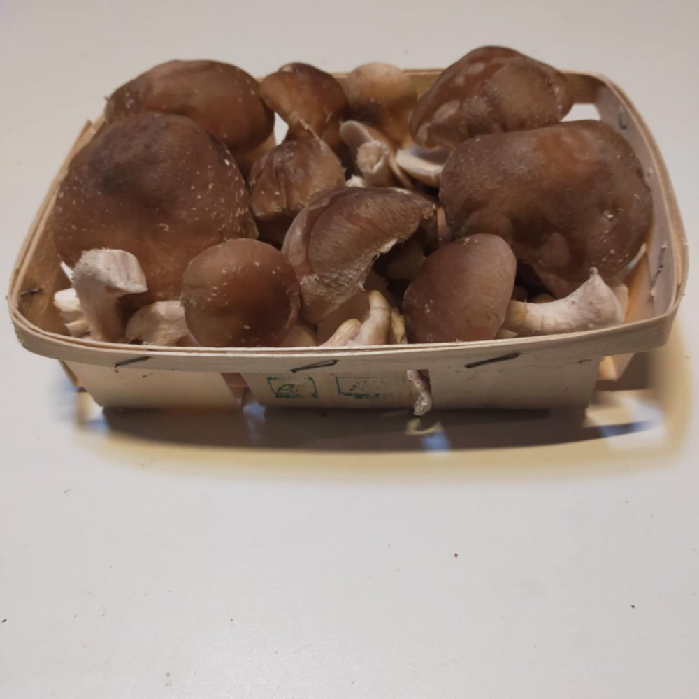 Shop Primary Image Shop Primary Image