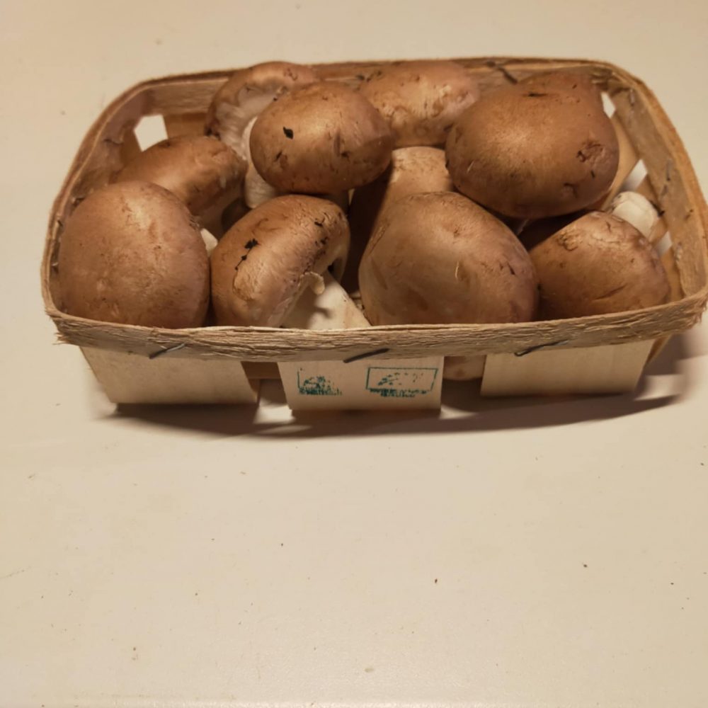 Shop Primary Image Shop Primary Image