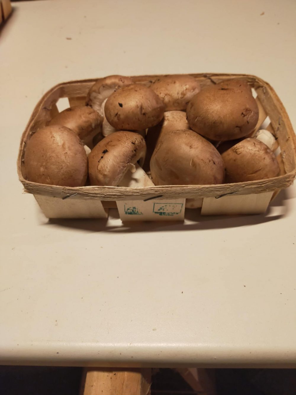 Gallery Thumb Gallery Thumb