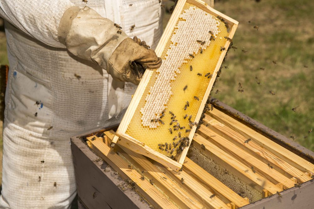 Gallery Thumb Gallery Thumb